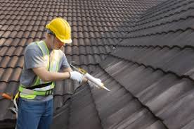 Best Rubber Roofing (EPDM, TPO)  in Crookston, MN